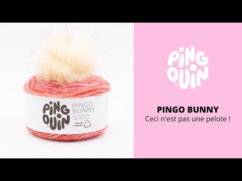 PINGO BUNNY