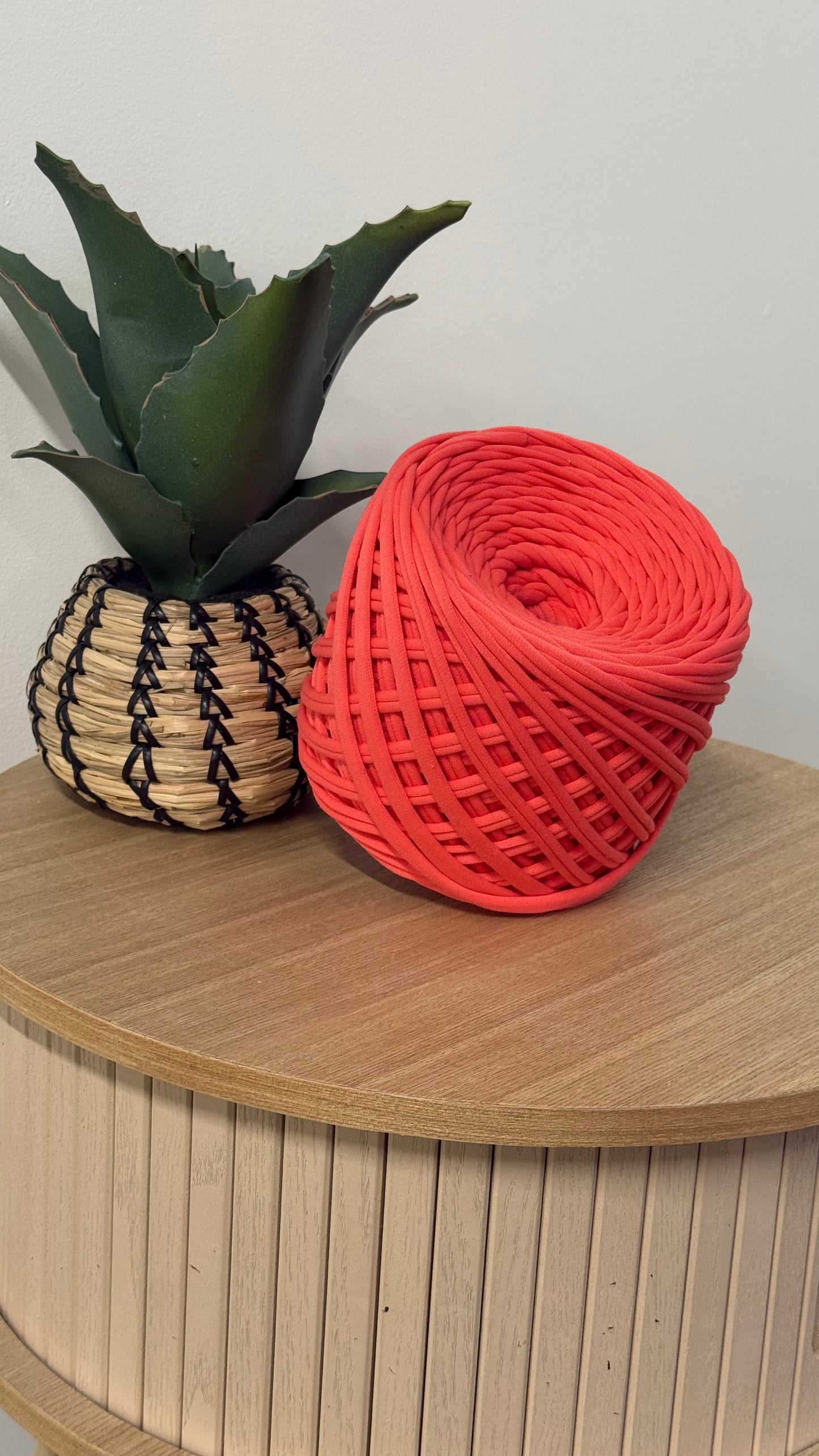 🧵 Fil Tee-shirt Jersey de Coton Bio