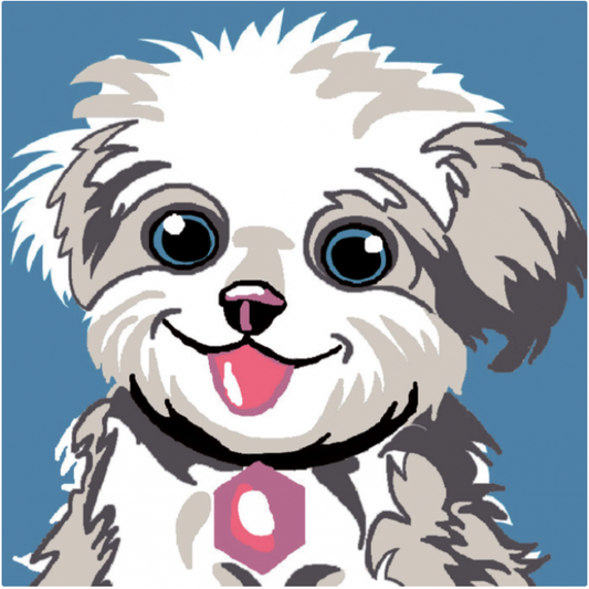 KIT Canevas SOUDAN 25x25